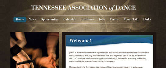 Tennessee Association of Dance image 1