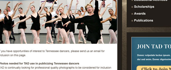 Tennessee Association of Dance image 3